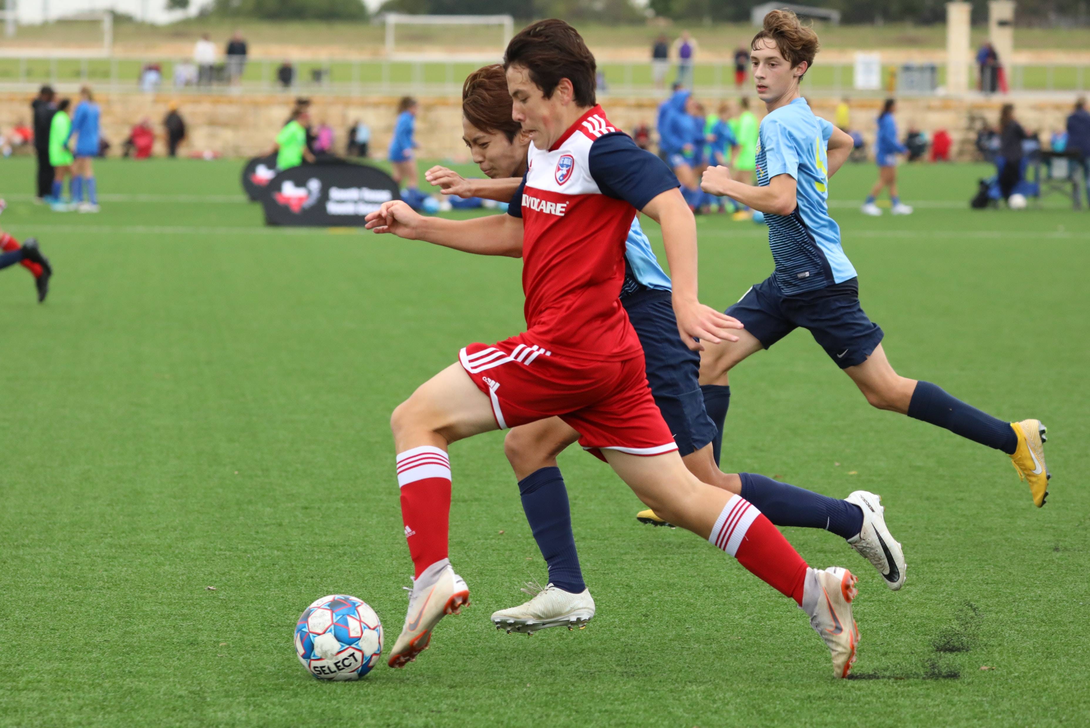 菲时表现出 菲时表现出