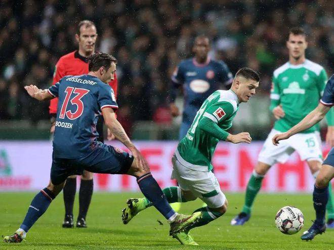 领域的佼佼 领域的佼佼